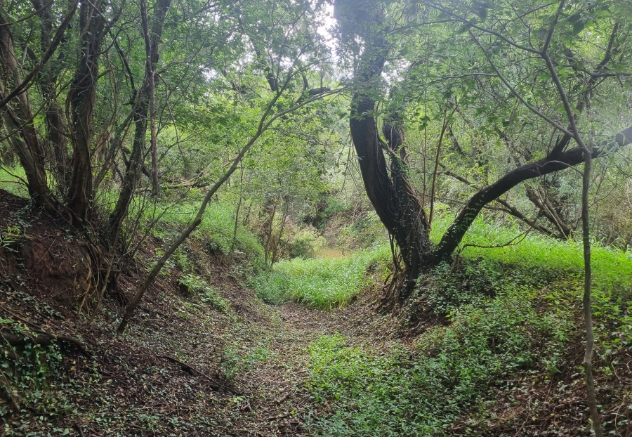 Commercial Property for Sale in Groot Marico North West